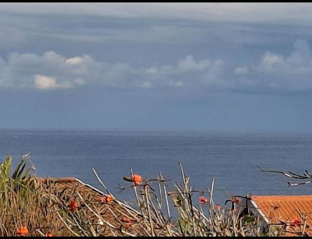 3 BEDROOM PROPERTY TO RENT IN BLUFF